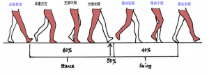 偏瘫后，走路膝关节控制能力差、不会打弯、膝过伸，该如何康复？