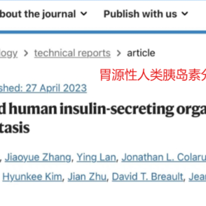 胃的干细胞可以转化为胰岛细胞，你相信吗？