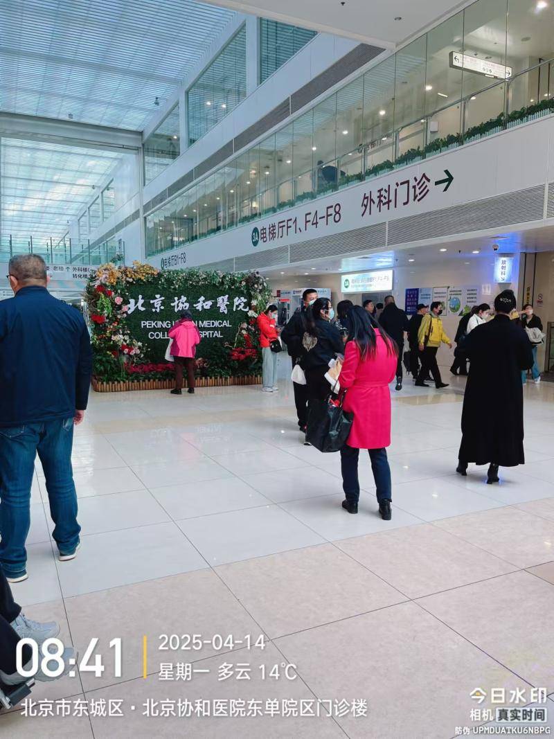 北京陪诊服务东城区号贩子代挂号的简单介绍